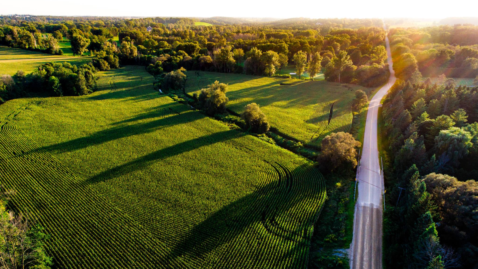 Oxford County header