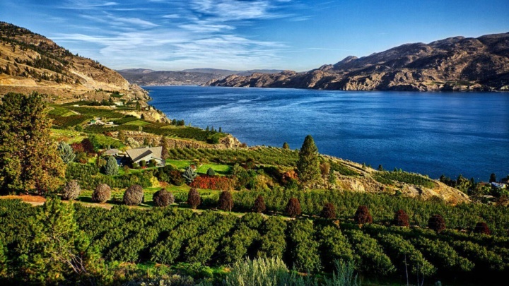 A view of Okanagan Lake from a vineyard in Summerland.