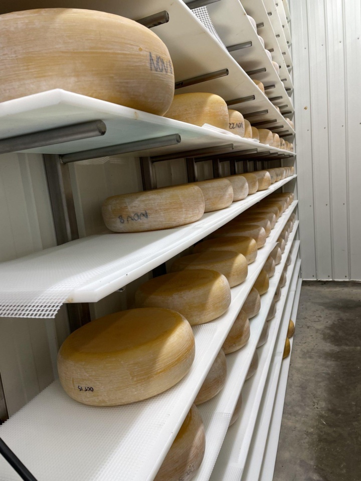 Crystal Springs Cheese