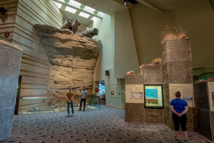 Head Smashed In Buffalo Jump Ins