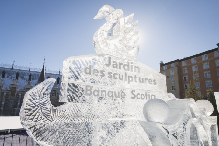 Scotia Ice Garden