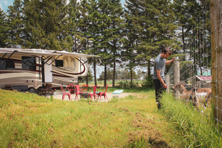 Udderly Ridiculous Glamping